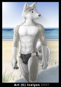 Rating: Questionable Score: 0 Tags: 2007 5_fingers anthro beach black_clothing black_speedo black_swimwear bulge canid canine canis clothed clothing detailed_background digital_media_(artwork) e621 fingers fur hi_res icelyon icelyon_(character) male mammal outside sand seaside skimpy sky solo speedo swimwear tail topless wolf User: bunchy7s