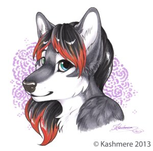 Rating: Safe Score: 0 Tags: 2013 anthro black_body black_fur bust_portrait canid canine canis domestic_dog e621 female fur husky jacki_northstar kashmere looking_at_viewer mammal nordic_sled_dog portrait solo spitz white_body white_fur wolf User: bunchy7s