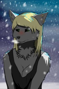 Rating: Safe Score: 0 Tags: 2:3 anthro blush canid canine canis clothing cold e621 female fog green_eyes hi_res mammal outside piercing shirt snow solo tank_top the_type_lord topwear wolf User: bunchy7s Rating: Safe Score: 0 Tags: 2:3 anthro blush canid canine canis clothing cold e621 female fog green_eyes hi_res mammal outside piercing shirt snow solo tank_top the_type_lord topwear wolf User: bunchy7s