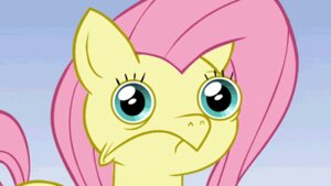 Rating: Questionable Score: 0 Tags: 16:9 2d_animation animated animated_gif blue_eyes dress.mov duo e621 equid equine female fluttershy_(mlp) friendship_is_magic fur hair hasbro horn horse hotdiggedydemon humor long_hair low_res mammal motion_tweening multicolored_hair my_little_pony mythological_creature mythological_equine mythology nude open_mouth pink_hair pony pony.mov purple_body purple_eyes purple_fur purple_hair reaction_image short_hair short_playtime twilight_sparkle_(mlp) two_tone_hair unicorn what what_has_magic_done widescreen User: bunchy7s
