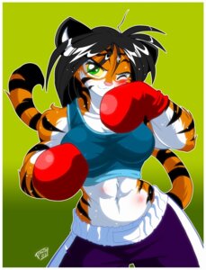 Rating: Safe Score: 0 Tags: 2007 abs anthro biceps biped black_hair blush bodily_fluids border bottomwear boxing boxing_gloves breasts bruised chalo clothed clothing e621 felid female fur gloves green_background green_eyes hair handwear looking_at_viewer mammal midriff muscular muscular_anthro muscular_female one_eye_closed orange_body orange_fur pantherine pants shirt simple_background solo sport standing stripes sweat tail tiger topwear torso_blush white_border User: bunchy7s