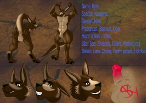 Rating: Explicit Score: 0 Tags: absurd_res anthro character_name e621 english_text erection flaccid genitals green_eyes grin hi_res kangaroo macropod male mammal marsupial model_sheet nude penis presenting skyeder0 smile solo text User: bunchy7s