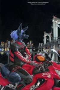 Rating: Safe Score: 0 Tags: 2006 ace_(ayukawataur) ace_(kacey) anthro anubian_jackal blue_hair bridge canid canine canis e621 female furgonomics hair jackal kacey mammal motorcycle night solo sticker tail vehicle User: bunchy7s Rating: Safe Score: 0 Tags: 2006 ace_(ayukawataur) ace_(kacey) anthro anubian_jackal blue_hair bridge canid canine canis e621 female furgonomics hair jackal kacey mammal motorcycle night solo sticker tail vehicle User: bunchy7s