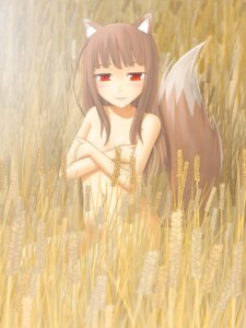 Rating: Questionable Score: 0 Tags: 3:4 animal_humanoid brown_hair canid canid_humanoid canine canine_humanoid canis covering covering_self crossed_arms e621 female field hair holo_(spice_and_wolf) humanoid looking_at_viewer mammal mammal_humanoid red_eyes solo spice_and_wolf tail unknown_artist wheat_field wolf wolf_humanoid User: bunchy7s