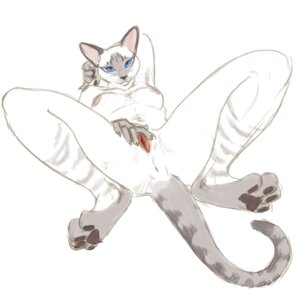 Rating: Explicit Score: 0 Tags: 1:1 2010 anthro anus autumn_sunrise biped blue_eyes breasts domestic_cat e621 feet felid feline felis female genitals hi_res hindpaw looking_at_viewer lying mammal nipples nude on_back paws presenting siamese_cat simple_background solo spread_legs spread_vulva spreading tail vulva white_background User: bunchy7s Rating: Explicit Score: 0 Tags: 1:1 2010 anthro anus autumn_sunrise biped blue_eyes breasts domestic_cat e621 feet felid feline felis female genitals hi_res hindpaw looking_at_viewer lying mammal nipples nude on_back paws presenting siamese_cat simple_background solo spread_legs spread_vulva spreading tail vulva white_background User: bunchy7s
