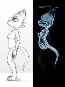 Rating: Explicit Score: 0 Tags: anatomy anthro biological_illustration bone breasts cross_section darkdoomer domestic_cat e621 featureless_breasts felid feline felis female hi_res internal kittie mammal medical_illustration nude pelvis pregnant pregnant_female radiograph ribs simple_background skull solo spine tail technical_illustration thin_calves thin_legs thin_thighs User: bunchy7s Rating: Explicit Score: 0 Tags: anatomy anthro biological_illustration bone breasts cross_section darkdoomer domestic_cat e621 featureless_breasts felid feline felis female hi_res internal kittie mammal medical_illustration nude pelvis pregnant pregnant_female radiograph ribs simple_background skull solo spine tail technical_illustration thin_calves thin_legs thin_thighs User: bunchy7s