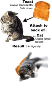 Rating: Safe Score: 0 Tags: ambiguous_gender animated animated_gif anti-gravity bread butter buttered_toast classic_tabby collage_(artwork) dairy_products domestic_cat e621 exclamation_point felid feline felis feral food grandfathered_content gravity humor lol_comments low_res mammal meme mixed_media paradox real science short_playtime simple_background solo spinning tabby_cat text the_more_you_know toast unknown_artist weightlessness white_background User: bunchy7s