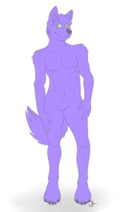Rating: Safe Score: 0 Tags: 2012 3:5 anthro biped canid canine canis e621 fur male mammal monsterdrool purple_body purple_fur sekotta simple_background solo standing tail white_background wolf young young_anthro young_male User: bunchy7s