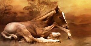 Rating: Safe Score: 0 Tags: ambiguous_gender e621 equid equine feral horse lying mammal paul_miners pony realistic solo wilderness young User: bunchy7s Rating: Safe Score: 0 Tags: ambiguous_gender e621 equid equine feral horse lying mammal paul_miners pony realistic solo wilderness young User: bunchy7s