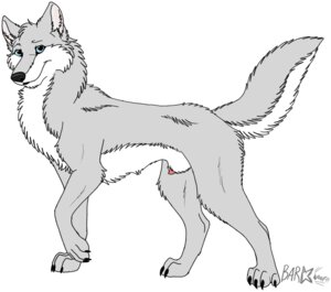 Rating: Explicit Score: 0 Tags: 2011 4_toes animal_genitalia barkwoof black_nose blue_eyes canid canine canis claws e621 feet feral fur genitals grey_body grey_fur looking_aside looking_at_viewer male mammal northwestern_wolf nude penis penis_tip quadruped sheath smile solo tail toes white_body white_fur wolf User: bunchy7s