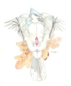 Rating: Explicit Score: 0 Tags: 2010 animal_genitalia anus avian beak bird blue_body blue_feathers blue_jay cloacal_penis corvid e621 erection feathered_wings feathers feral genital_slit genitals jay_(bird) lying male new_world_jay on_back oscine passerine penis solo spread_legs spreading windpaw wings User: bunchy7s Rating: Explicit Score: 0 Tags: 2010 animal_genitalia anus avian beak bird blue_body blue_feathers blue_jay cloacal_penis corvid e621 erection feathered_wings feathers feral genital_slit genitals jay_(bird) lying male new_world_jay on_back oscine passerine penis solo spread_legs spreading windpaw wings User: bunchy7s