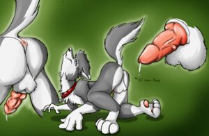 Rating: Explicit Score: 0 Tags: 1boy anthro anus ass balls canine collar fur furry jackeldemon knot lucky male male_only penis presenting raggedyhatter raised_tail rule34 solo tail wolf User: bunchy7s Rating: Explicit Score: 0 Tags: 1boy anthro anus ass balls canine collar fur furry jackeldemon knot lucky male male_only penis presenting raggedyhatter raised_tail rule34 solo tail wolf User: bunchy7s