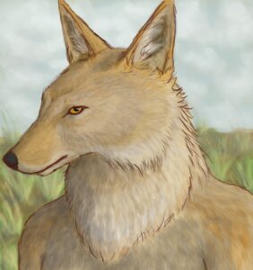 Rating: Safe Score: 0 Tags: anthro bust_portrait canid canine canis coyote e621 echoeternal looking_at_viewer male mammal nude outside portrait sky solo yellow_eyes User: bunchy7s