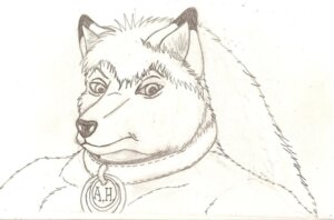 Rating: Safe Score: 0 Tags: alex_husky anthro biped bust_portrait canid canine canis collar collar_tag domestic_dog e621 front_view graphite_(artwork) greyscale husky jt male mammal monochrome nordic_sled_dog portrait solo spitz three-quarter_view traditional_media_(artwork) User: bunchy7s