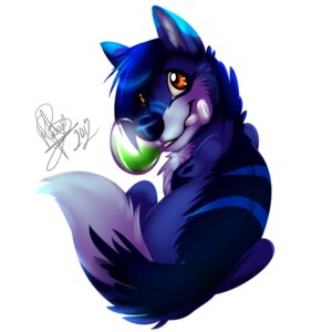 Rating: Safe Score: 0 Tags: 1:1 2012 ambiguous_gender blue_body blue_ears blue_fur blue_hair blue_markings canid canine chest_tuft cyan_ears digital_media_(artwork) e621 feral fur garu_(character) hair mammal markings orange_eyes simple_background solo tail tuft white_background white_body white_fur wolflady User: bunchy7s