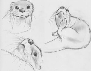 Rating: Safe Score: 0 Tags: 2011 ambiguous_gender e621 feral greyscale mammal monochrome mustelid otter simple_background sketch solo spera tail white_background User: bunchy7s Rating: Safe Score: 0 Tags: 2011 ambiguous_gender e621 feral greyscale mammal monochrome mustelid otter simple_background sketch solo spera tail white_background User: bunchy7s