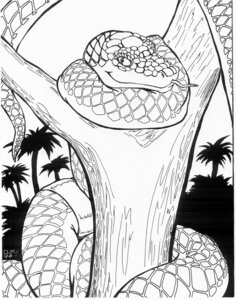 Rating: Safe Score: 0 Tags: 1996 ambiguous_gender apode black_and_white boa_(snake) boa_constrictor boinae clothing coiling draconcopode e621 emerald_tree_boa feral forest forked_tongue jungle legless long_tongue monochrome naga oscar_marcus outside palm_tree pinup plant pose reptile scalie serpentine snake solo tongue tongue_out topwear tree tube_top wood User: bunchy7s