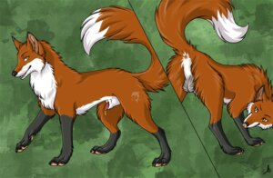Rating: Explicit Score: 0 Tags: animal_genitalia anus backsack balls bodily_fluids canid canine cum e621 feral fox genital_fluids genitals male mammal noktivus penis penis_tip quadruped raised_tail red_fox sheath solo tail tail_anus true_fox User: bunchy7s Rating: Explicit Score: 0 Tags: animal_genitalia anus backsack balls bodily_fluids canid canine cum e621 feral fox genital_fluids genitals male mammal noktivus penis penis_tip quadruped raised_tail red_fox sheath solo tail tail_anus true_fox User: bunchy7s
