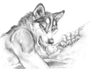 Rating: Explicit Score: 0 Tags: 2009 animal_genitalia animal_penis anthro anthro_on_anthro balls blotch canid canine canine_genitalia canine_penis canis claws domestic_dog duo e621 english_text erection fellatio genitals husky knot looking_at_viewer male male/male male_penetrated male_penetrating male_penetrating_male mammal monochrome nordic_sled_dog oral oral_penetration pawpads paws penetration penile penis scratches_volume_3 sex simple_background spitz text tongue tongue_out traditional_media_(artwork) white_background User: bunchy7s