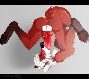 Rating: Explicit Score: 0 Tags: 2013 4_toes animal_genitalia animal_penis anthro anus autofellatio backsack balls biped black_nose blue_eyes blush butt canid canine canine_genitalia canine_penis chalkbunny claws digitigrade djijey_hellfire e621 erection feet fox genitals hair hindpaw knot legs_up lying male mammal masturbation nude on_back oral oral_masturbation oral_penetration pawpads paws penetration penile penile_masturbation penis soles solo toes upside_down white_hair User: bunchy7s