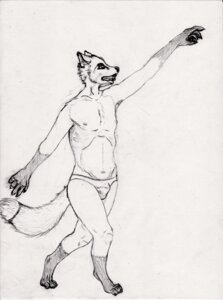 Rating: Questionable Score: 0 Tags: 4_toes anthro arm_above_head biped black_and_white bulge canid canine claws clothed clothing e621 feet fox hi_res hindpaw looking_up male mammal monochrome navel nipples open_mouth paws pencil_(object) reaching semiotica solo standing tail toes topless underwear User: bunchy7s