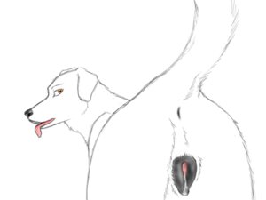 Rating: Explicit Score: 0 Tags: 4:3 anatomically_correct anatomically_correct_genitalia anatomically_correct_vulva animal_genitalia animal_vulva anus bird_dog black_nose bodily_fluids butt canid canine canine_genitalia canine_vulva canis cum domestic_dog dripping e621 female feral genital_fluids genitals hunting_dog koosh-ball labrador looking_at_viewer looking_back mammal orange_eyes precum presenting presenting_hindquarters raised_tail rear_view retriever sketch solo tail tongue vulva User: bunchy7s Rating: Explicit Score: 0 Tags: 4:3 anatomically_correct anatomically_correct_genitalia anatomically_correct_vulva animal_genitalia animal_vulva anus bird_dog black_nose bodily_fluids butt canid canine canine_genitalia canine_vulva canis cum domestic_dog dripping e621 female feral genital_fluids genitals hunting_dog koosh-ball labrador looking_at_viewer looking_back mammal orange_eyes precum presenting presenting_hindquarters raised_tail rear_view retriever sketch solo tail tongue vulva User: bunchy7s
