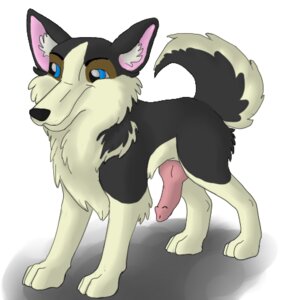 Rating: Explicit Score: 0 Tags: canid canine canis domestic_dog e621 erection feral genitals knot low_res male mammal penis quadruped simple_background solo tail toony white_background zoophilic User: bunchy7s