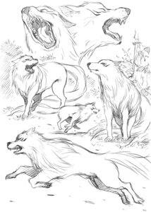 Rating: Safe Score: 0 Tags: ambiguous_gender battle_wolf canid canine canis cloth digitigrade e621 feral fur graphite_(artwork) mammal monochrome quadruped solo tail teeth terry_cloth toriko_(series) traditional_media_(artwork) unknown_artist wolf User: bunchy7s Rating: Safe Score: 0 Tags: ambiguous_gender battle_wolf canid canine canis cloth digitigrade e621 feral fur graphite_(artwork) mammal monochrome quadruped solo tail teeth terry_cloth toriko_(series) traditional_media_(artwork) unknown_artist wolf User: bunchy7s