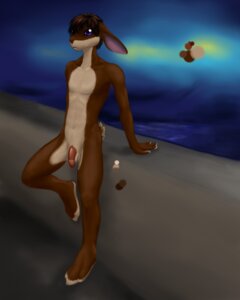 Rating: Explicit Score: 0 Tags: 3_toes 4_fingers anthro balls biped blue_eyes brown_body brown_fur brown_hair color_swatch detailed_background e621 feet fingers flaccid fur genitals hair hi_res kampfisken lagomorph leporid long_ears male mammal nude on_one_leg outside penis public public_nudity rabbit relaxing short_hair sky solo standing tan_body tan_fur toes water User: bunchy7s