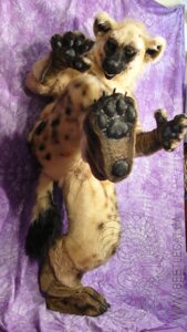 Rating: Safe Score: 0 Tags: ambiguous_gender anthro beetlecat clothing costume e621 feet foot_focus fur fursuit grandfathered_content hindpaw hyena looking_at_viewer mammal markings pawpads paws plantigrade real solo spots spotted_body spotted_fur spotted_hyena tail User: bunchy7s Rating: Safe Score: 0 Tags: ambiguous_gender anthro beetlecat clothing costume e621 feet foot_focus fur fursuit grandfathered_content hindpaw hyena looking_at_viewer mammal markings pawpads paws plantigrade real solo spots spotted_body spotted_fur spotted_hyena tail User: bunchy7s