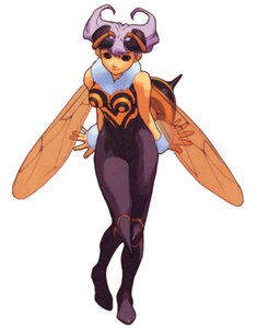 Rating: Safe Score: 0 Tags: animal_humanoid arthropod arthropod_humanoid bee bee_humanoid capcom clothing darkstalkers e621 female humanoid hymenopteran hymenopteran_humanoid insect insect_humanoid insect_wings legwear pantyhose q-bee simple_background solo stinger tights unknown_artist white_background wings User: bunchy7s