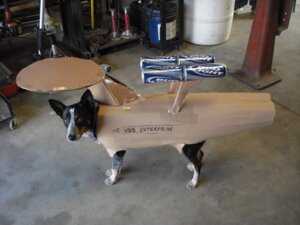 Rating: Safe Score: 0 Tags: 4:3 alcohol ambiguous_gender beer beverage can canid canine canis cardboard container cosplay domestic_dog e621 feral food grandfathered_content looking_at_viewer mammal real ship solo star_trek unknown_artist uss_enterprise vehicle watercraft User: bunchy7s Rating: Safe Score: 0 Tags: 4:3 alcohol ambiguous_gender beer beverage can canid canine canis cardboard container cosplay domestic_dog e621 feral food grandfathered_content looking_at_viewer mammal real ship solo star_trek unknown_artist uss_enterprise vehicle watercraft User: bunchy7s