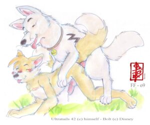 Rating: Explicit Score: 0 Tags: 2009 bolt_(bolt) bolt_(film) canine disney fennec_(artist) feral feral_on_anthro gay male male_only penis rule34 tagme zoophilia User: bunchy7s