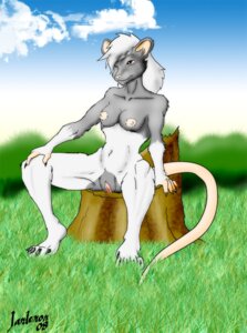 Rating: Explicit Score: 0 Tags: 2008 anthro biped breasts brown_eyes cloud detailed_background e621 female genitals grass hair jardenon mammal murid murine nipples nude outside plant rat rodent sitting sitting_on_stump sky smile solo spread_legs spreading tail tree_stump vulva white_hair User: bunchy7s