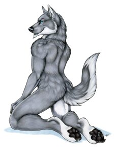 Rating: Questionable Score: 0 Tags: 2012 4_toes anthro biped black_nose blue_eyes butt canid canine canis claws detailed digitigrade e621 feet full-length_portrait fur grey_body grey_fur hand_on_leg kneeling korrok looking_at_viewer looking_back male mammal nude paws portrait raised_tail simple_background smile solo tail teasing toes white_background white_body white_fur wolf User: bunchy7s Rating: Questionable Score: 0 Tags: 2012 4_toes anthro biped black_nose blue_eyes butt canid canine canis claws detailed digitigrade e621 feet full-length_portrait fur grey_body grey_fur hand_on_leg kneeling korrok looking_at_viewer looking_back male mammal nude paws portrait raised_tail simple_background smile solo tail teasing toes white_background white_body white_fur wolf User: bunchy7s