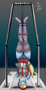 Rating: Questionable Score: 0 Tags: 2013 absurd_res accessory anthro anthrofied bdsm blue_body blue_feathers blue_fur bondage bottomwear bound cable cloth_gag clothed clothing dakuroihoshi e621 equid equine feathered_wings feathers female friendship_is_magic fur gag gagged hair hasbro hi_res legwear looking_at_viewer mammal multicolored_hair my_little_pony mythological_creature mythological_equine mythology necktie panties pegasus purple_eyes rainbow_dash_(mlp) rainbow_hair raised_bottomwear raised_clothing raised_skirt rope skirt solo stockings submissive submissive_female suspension underwear upside_down wings User: bunchy7s