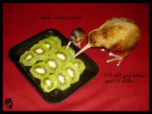 Rating: Safe Score: 0 Tags: 2006 age_difference ambiguous_gender avian bird black_border border dolphydolphiana duo e621 english_text feral food fruit grandfathered_content humor joke kiwi_(bird) kiwifruit photography_(artwork) plant plate pun ratite real text visual_pun User: bunchy7s