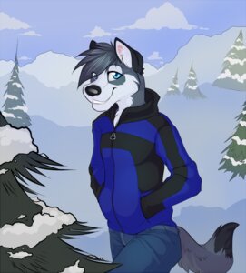 Rating: Safe Score: 0 Tags: anthro blue_eyes canid canine canis clothed clothing cloud demicoeur digital_media_(artwork) e621 fur grey_body grey_fur jacket looking_at_viewer male mammal outside sky smile snow solo tail takoda_(takoda84) topwear winter wolf User: bunchy7s