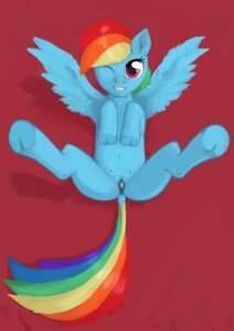 Rating: Explicit Score: 0 Tags: anatomically_correct anatomically_correct_genitalia anatomically_correct_vulva animal_genitalia animal_vulva anus blue_body blue_feathers blue_fur butt doe-shmo e621 equid equine equine_genitalia equine_vulva feathered_wings feathers female feral friendship_is_magic fur genitals hair hasbro hi_res hooves jac looking_at_viewer lying mammal multicolored_hair multicolored_tail my_little_pony mythological_creature mythological_equine mythology on_back one_eye_closed pegasus puffy rainbow_dash_(mlp) rainbow_hair rainbow_tail simple_background smile solo spread_legs spreading tail teats teeth vulva wings User: bunchy7s