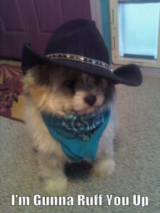 Rating: Safe Score: 0 Tags: 3:4 ambiguous_gender canid canine canis clothing cowboy_hat domestic_dog e621 feral grandfathered_content hat headgear headwear humor mammal pun real solo unknown_artist young young_feral User: bunchy7s Rating: Safe Score: 0 Tags: 3:4 ambiguous_gender canid canine canis clothing cowboy_hat domestic_dog e621 feral grandfathered_content hat headgear headwear humor mammal pun real solo unknown_artist young young_feral User: bunchy7s
