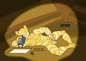 Rating: Explicit Score: 0 Tags: 2011 athletic attic balls beachfox biceps black_border border brown_background calico_cat camera ceiling ceiling_cat domestic_cat e621 erection felid feline felis fur genitals looking_at_genitalia looking_at_penis lying male mammal masturbation meme mottled multicolored_balls multicolored_body multicolored_fur muscular one_eye_closed one_eye_obstructed open_mouth pecs penile penile_masturbation penis piebald pink_nose pink_penis pink_tongue recording reflection simple_background solo striped_balls striped_body striped_fur striped_genitalia stripes tan_body tan_fur tan_stripes tongue voyeur white_body white_fur white_stripes yellow_balls yellow_body yellow_fur User: bunchy7s