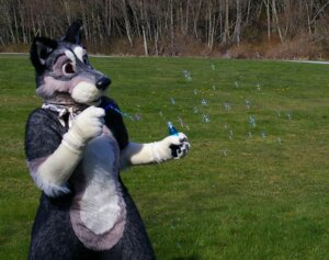 Rating: Safe Score: 0 Tags: anthro bubble canid canine canis cathlamet_(matrices) clothing costume e621 fursuit grandfathered_content male mammal matrices_(artist) mixed_media nature outside photo_background photography_(artwork) plant real solo tree wolf wood User: bunchy7s