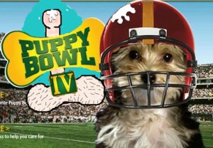 Rating: Explicit Score: 0 Tags: male male_only puppy_bowl_iv rule34 tagme User: bunchy7s Rating: Explicit Score: 0 Tags: male male_only puppy_bowl_iv rule34 tagme User: bunchy7s