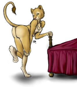 Rating: Questionable Score: 0 Tags: anthro bed biped breasts butt clothed clothing digitigrade e621 felid female footwear furniture hi_res legwear lion looking_at_viewer mammal pantherine panties paws_in_socks pose raised_tail seductive sketchkat skimpy socks solo standing tail underwear User: bunchy7s Rating: Questionable Score: 0 Tags: anthro bed biped breasts butt clothed clothing digitigrade e621 felid female footwear furniture hi_res legwear lion looking_at_viewer mammal pantherine panties paws_in_socks pose raised_tail seductive sketchkat skimpy socks solo standing tail underwear User: bunchy7s