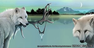 Rating: Safe Score: 0 Tags: 2009 ambiguous_gender antlers black_nose bust_portrait canid canine canis digital_media_(artwork) digital_painting_(artwork) duo e621 feral fluffy fog fur half-length_portrait horn jewelry khaosdog lake looking_at_viewer looking_back mammal moon mountain mouth_hold nature necklace night outside painting_(artwork) pendant plant portrait reflection scenery sky text tree url water wolf wolf-of-samhain wood User: bunchy7s
