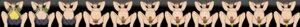 Rating: Explicit Score: 0 Tags: chaotic male male_only peyton_rosen rule34 tagme User: bunchy7s