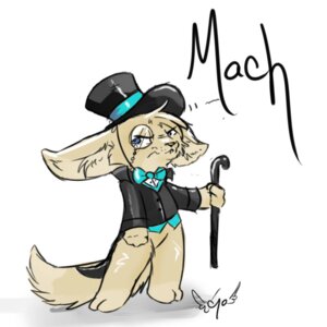 Rating: Safe Score: 0 Tags: 1:1 2011 angry anthro bottomless bow_(feature) bow_tie cane canid canine clothed clothing cyo e621 eyewear fennec_fox fox hat headgear headwear machfennec male mammal monocle simple_background solo suit tail top_hat true_fox white_background User: bunchy7s