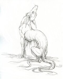 Rating: Safe Score: 0 Tags: canid canine e621 feral graphite_(artwork) greyscale hibbary male mammal monochrome sketch solo tail traditional_media_(artwork) User: bunchy7s