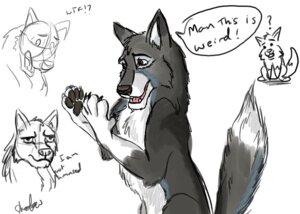 Rating: Safe Score: 0 Tags: 2009 canid canine chest_tuft claws colored confusion dialogue e621 english_text expressions feral fur headshot_portrait male mammal paws portrait raised_tail shadster shocked sitting sketch sketch_page solo speech_bubble tail text toony tuft User: bunchy7s Rating: Safe Score: 0 Tags: 2009 canid canine chest_tuft claws colored confusion dialogue e621 english_text expressions feral fur headshot_portrait male mammal paws portrait raised_tail shadster shocked sitting sketch sketch_page solo speech_bubble tail text toony tuft User: bunchy7s