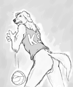 Rating: Explicit Score: 0 Tags: air_bud air_bud_entertainment anthro anthrofied backsack ball balls basketball basketball_(ball) bird_dog bottomless buddy_(air_bud) butt canid canine canis clothed clothing domestic_dog drop e621 genitals golden_retriever greyscale hunting_dog jersey male mammal monochrome retriever shirt sixsydes sketch solo surprised tail teeth topwear User: bunchy7s